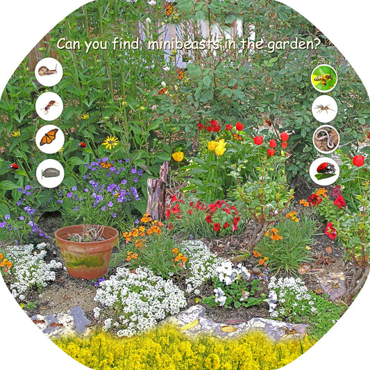The Garden Minibeasts mat is ideal for use with a Tuff Tray. Spot a snail, ant, butterfly, woodlouse, bee, spider, worm and a ladybird, and also enjoy the flowers!  The trays enable children to add anything such as water, toys, sand, pebbles, leaves, sticks to create interesting small fun environments.  Printed onto a high quality, durable vinyl material.  86cm x 86cm (approx )  Designed to fit in the Tuff Tray or the Tuff Spot.