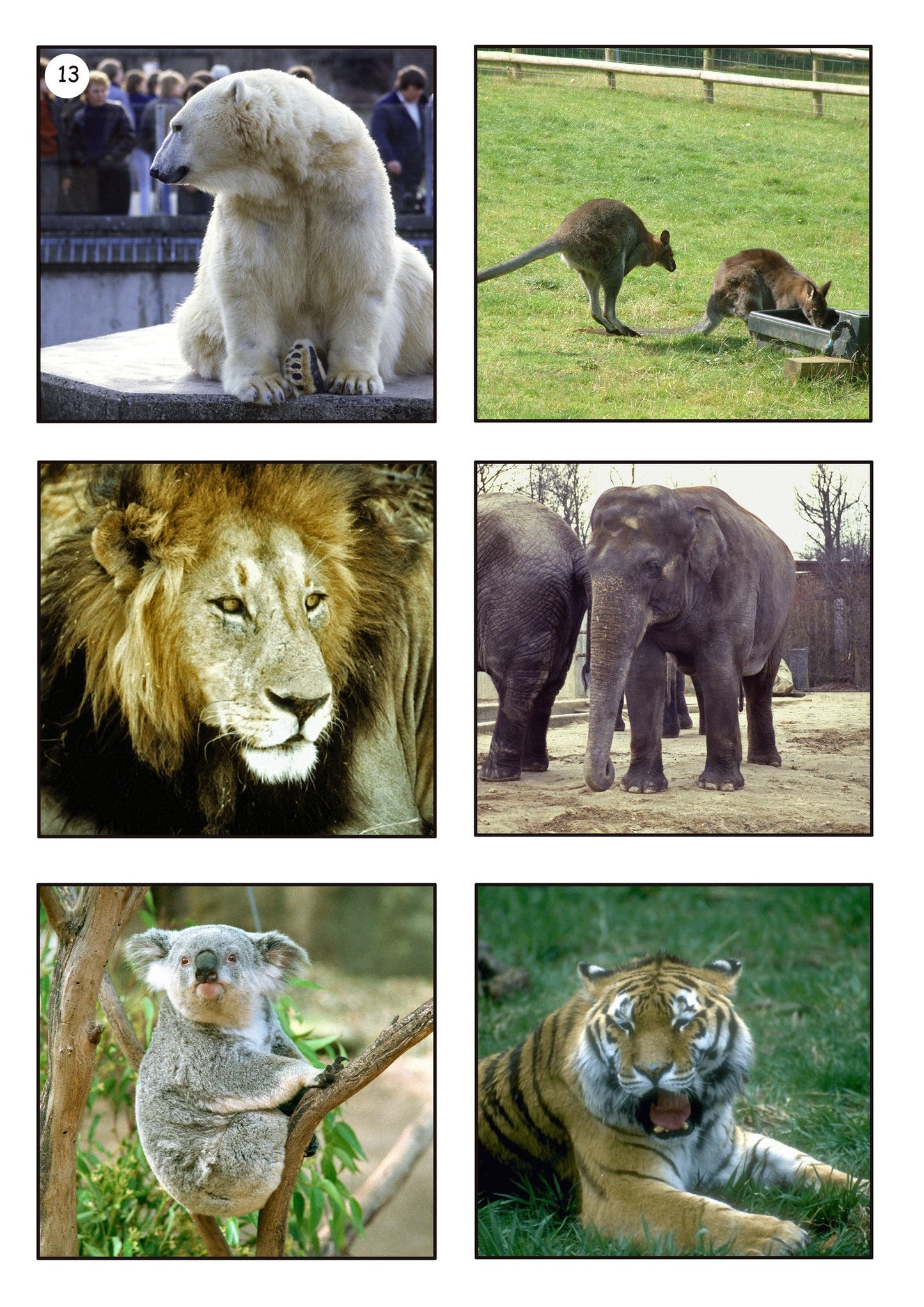 Leisure Time Photo Pack