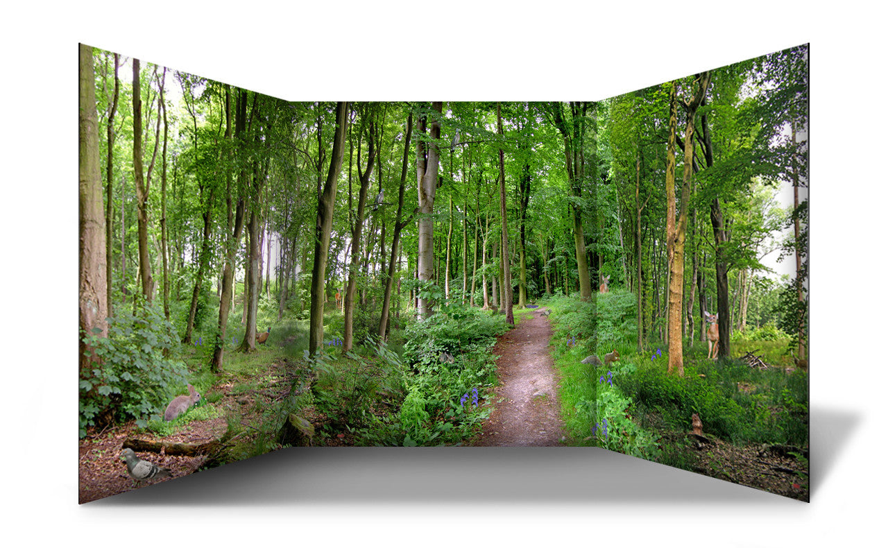 A classroom or nursery scene setter of a vibrant beautiful green forest and path, complete with hidden forest animals and plants for children to find! Great for immersive and imaginative role play. The freestanding scene setter can be used inside & outside. Made from lightweight correx which is easy to clean and waterproof. The scene setter folds away easily for storage and folds out simply and quickly for set up.