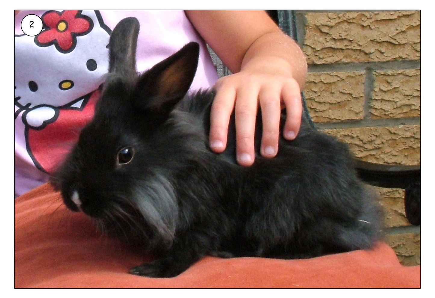 My Pet Photo Pack