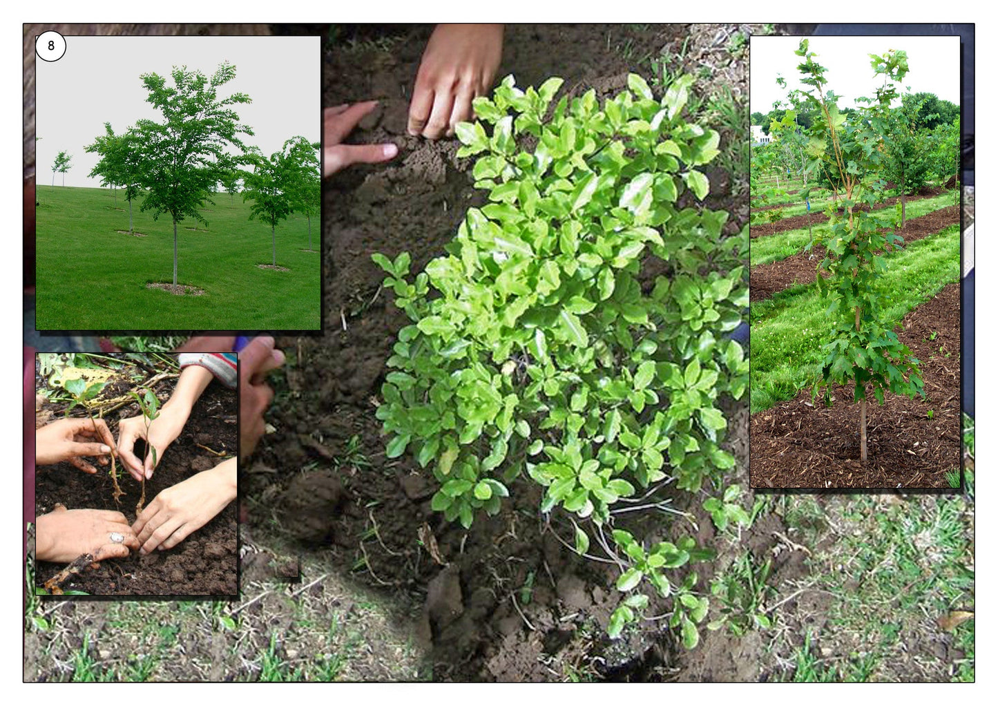 Saving Energy Photo Pack Digital Download