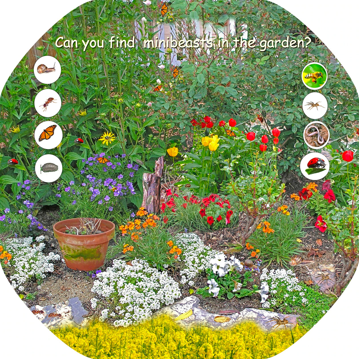 Minibeasts Tuff Tray Mat Insert