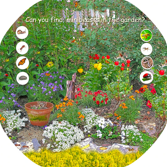 Minibeasts Tuff Tray Mat Insert