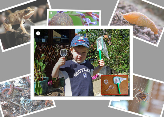 Minibeasts In The Garden Photo Pack