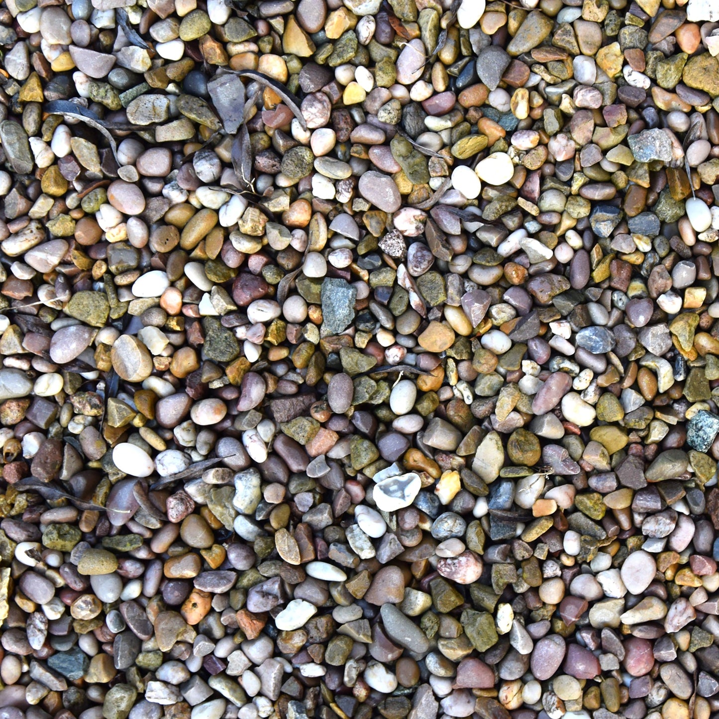 This Gravel Mat is ideal for use with our Tiger Play Tray. It's perfect for individual or small group play.