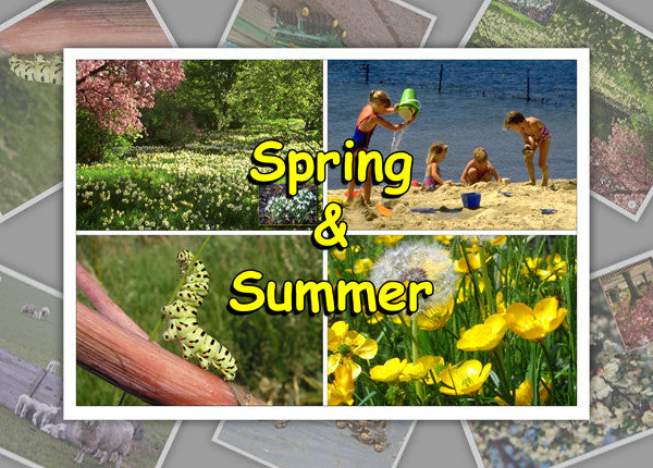 Spring And Summer Photo Pack