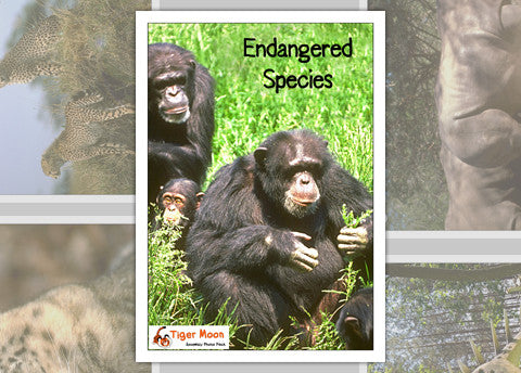Endangered Species Photo Pack Digital Download
