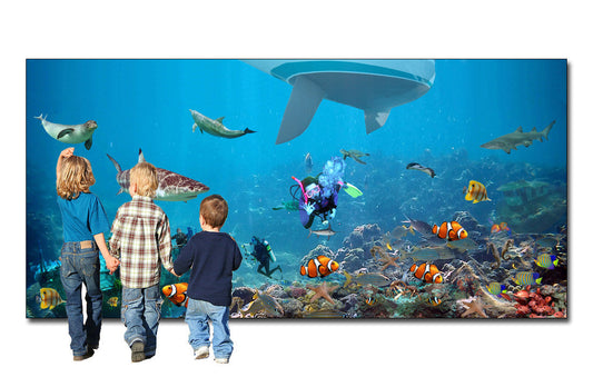 Underwater World Backdrop