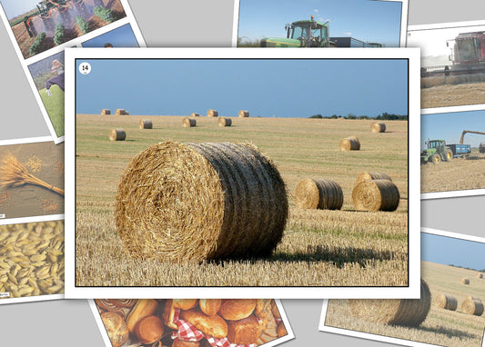 On the Wheat Farm Photo Pack