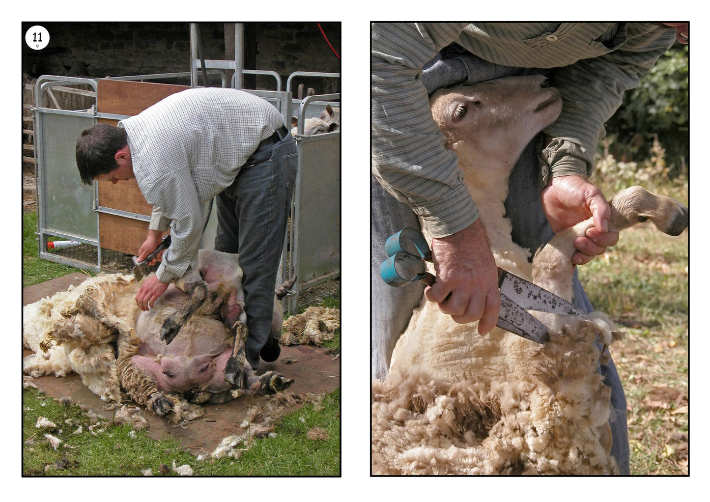 On the Sheep Farm Photo Pack