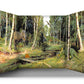 A classroom or nursery scene setter of an exciting dinosaur scene, complete with a range of dinosaurs for children to find in a natural habitat! Great for immersive and imaginative role play. Great for talking about types of dinosaur, when and how they lived and how they fit in with the history of the world.