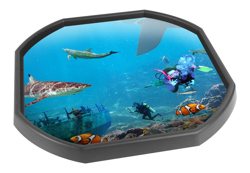 The Under Water World mat is ideal for use with a Tuff Tray. Spot and name the sealife and add your own water and aquatic toys for more fun! Dive among the coral reef with the fish. Ideal for imaginative and messy play for individuals and small groups. Designed to fit in the Tuff Tray or the Tuff Spot.