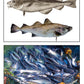 From the High Seas to My Plate Photo Pack Digital Download