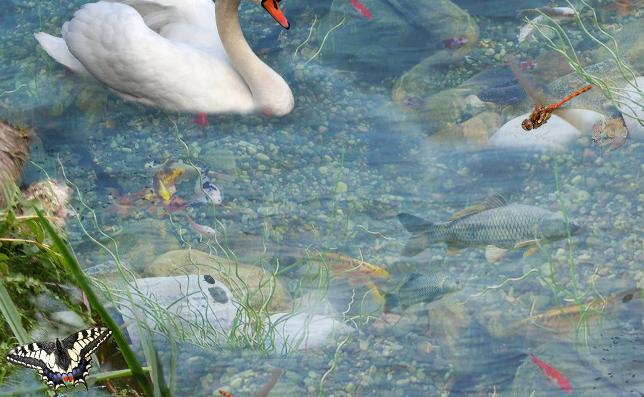 Extract from the Pond tuff tray mat features pond life on, above, aroundsand in the water! Spot a swan, duck, heron and much more. Perfect for individual or small group imaginative play. Designed to fit in the Tuff Tray or the Tuff Spot.