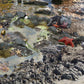 A classroom or nursery scene setter of an inviting sandy beach scene and bay, complete with rockpool and beach creatures for children to find! Great for immersive and imaginative role play. Great for talking about holidays and beach fun and safety by the sea.  The freestanding scene setter can be used inside & outside. Made from lightweight correx which is easy to clean and waterproof. The scene setter folds away easily for storage and folds out simply and quickly for set up.