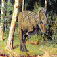 A classroom or nursery scene setter of an exciting dinosaur scene, complete with a range of dinosaurs for children to find in a natural habitat! Great for immersive and imaginative role play. Great for talking about types of dinosaur, when and how they lived and how they fit in with the history of the world. T-rex.