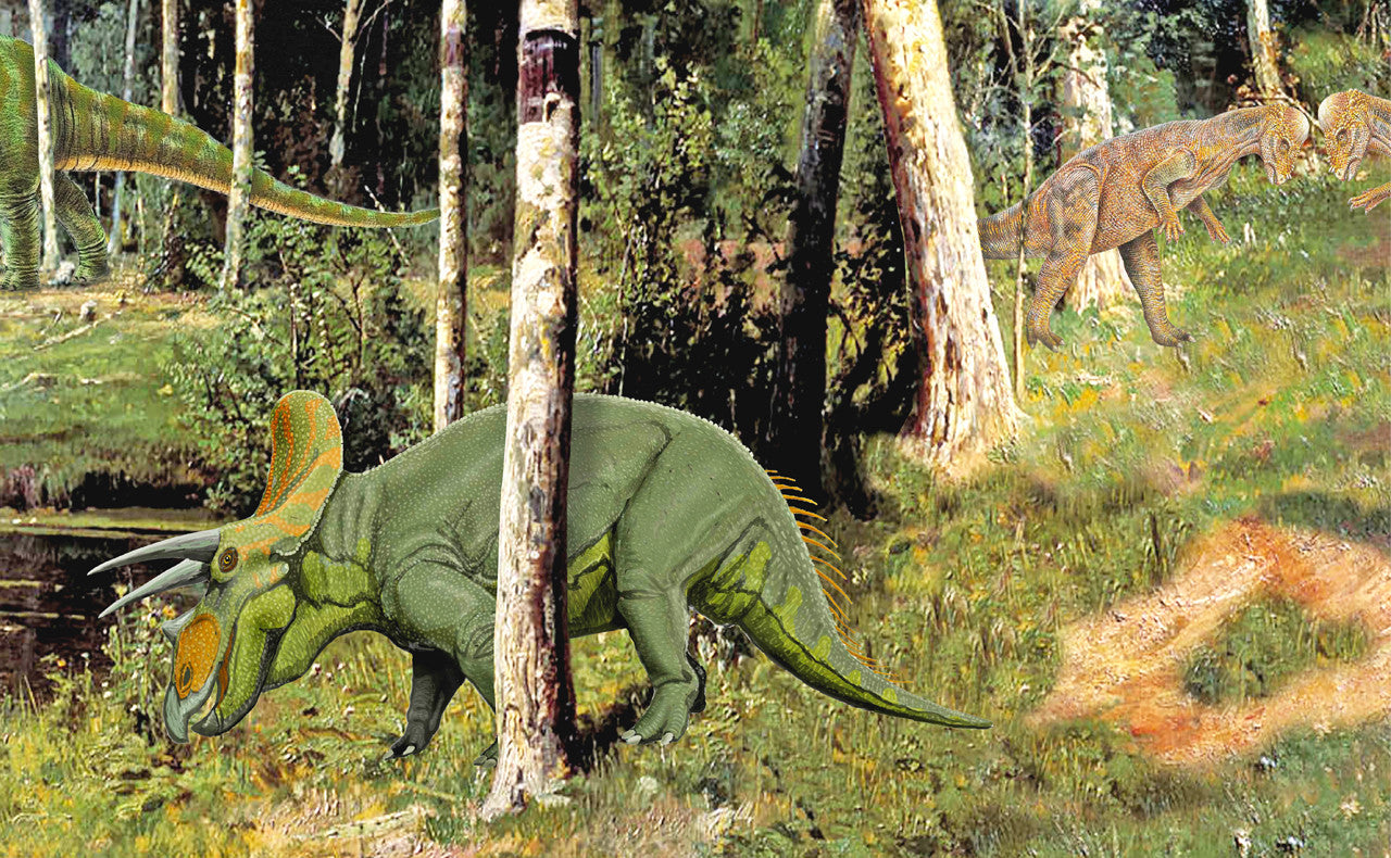 A classroom or nursery scene setter of an exciting dinosaur scene, complete with a range of dinosaurs for children to find in a natural habitat! Great for immersive and imaginative role play. Great for talking about types of dinosaur, when and how they lived and how they fit in with the history of the world. Triceratops