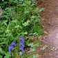 Close up of A path through the forest tuff tray or tuff spot mat