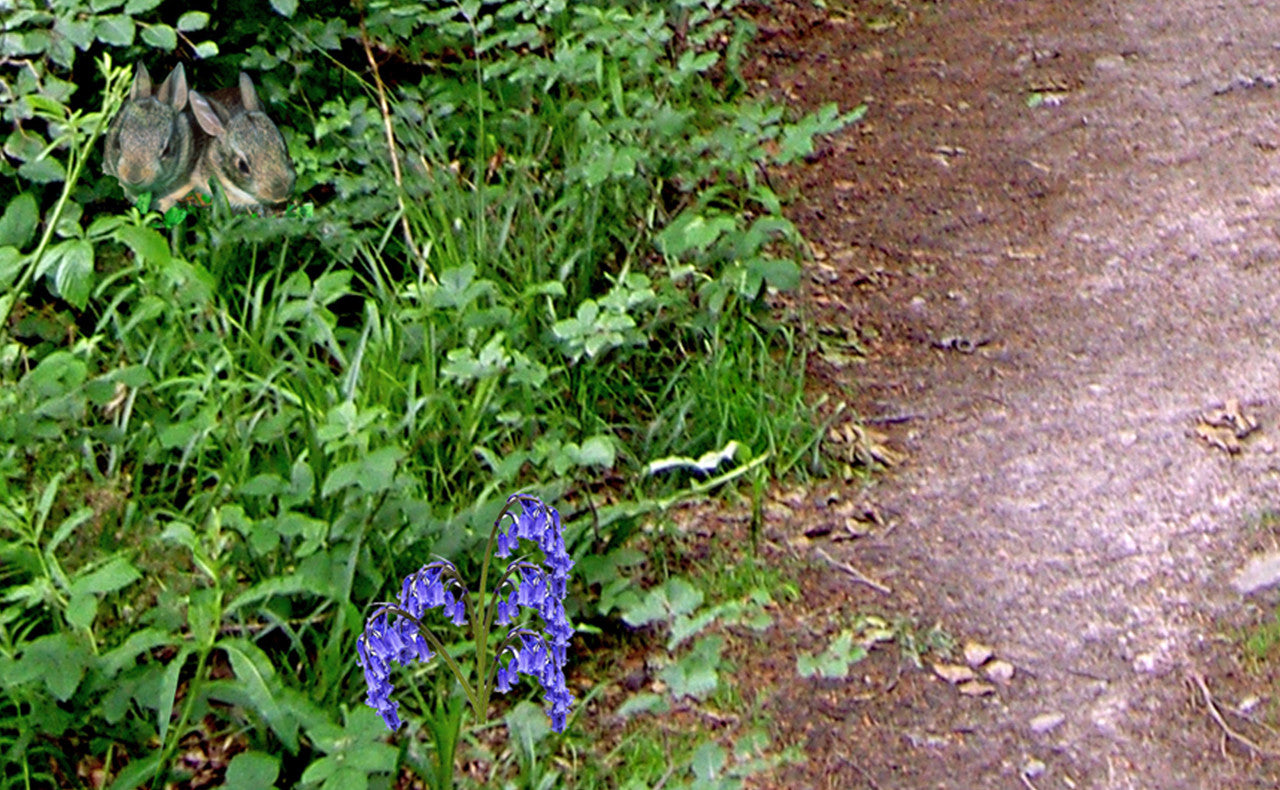 Close up of A path through the forest tuff tray or tuff spot mat