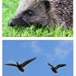 The Seasons Photo Pack Digital Download