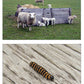 The Seasons Photo Pack Digital Download
