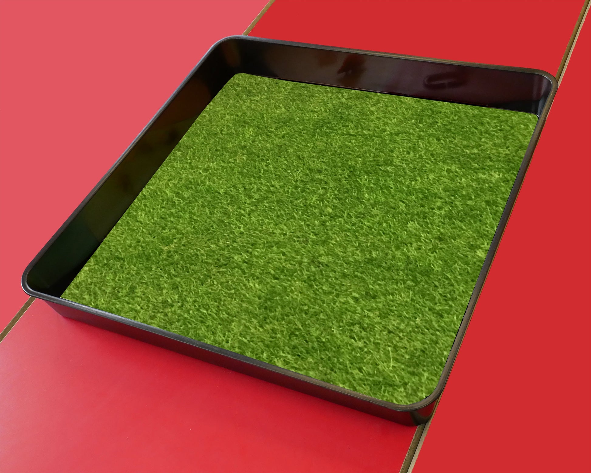 This artificial grass is ideal for use with our Tiger Play Tray. It's perfect for individual or small group play.       This insert mat is designed to perfectly fit in the Tiger Play Tray     Can be used with character or animal toys for imaginative play.     55cm x 55cm     Ideal for home use. Also great for small groups in classrooms.