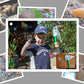Minibeasts In The Garden Photo Pack