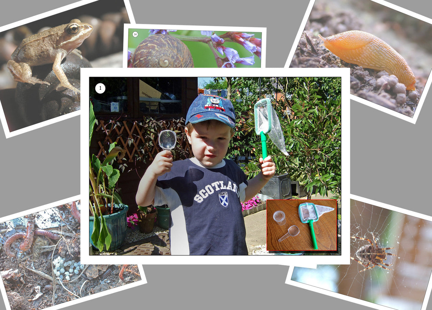 Minibeasts In The Garden Photo Pack