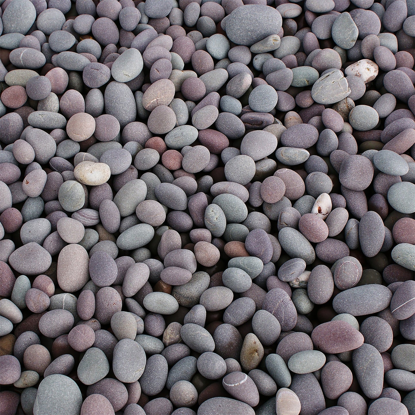 This Pebble Mat is ideal for use with our Tiger Play Tray. It's perfect for individual or small group play. Great alternative to a tuff tray.