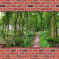 A Path Through the Forest Mural