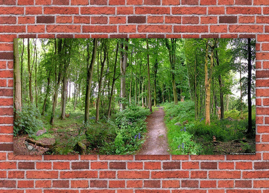 A Path Through the Forest Mural