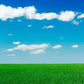 Grass and sky school play backdrop (240cm x 120cm)