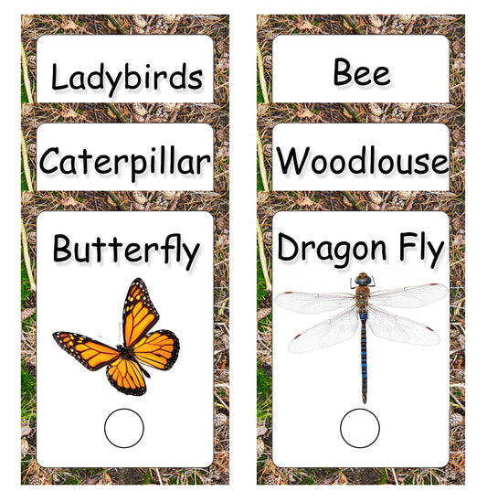 Mini Beast Wipeable Flash Card Set
