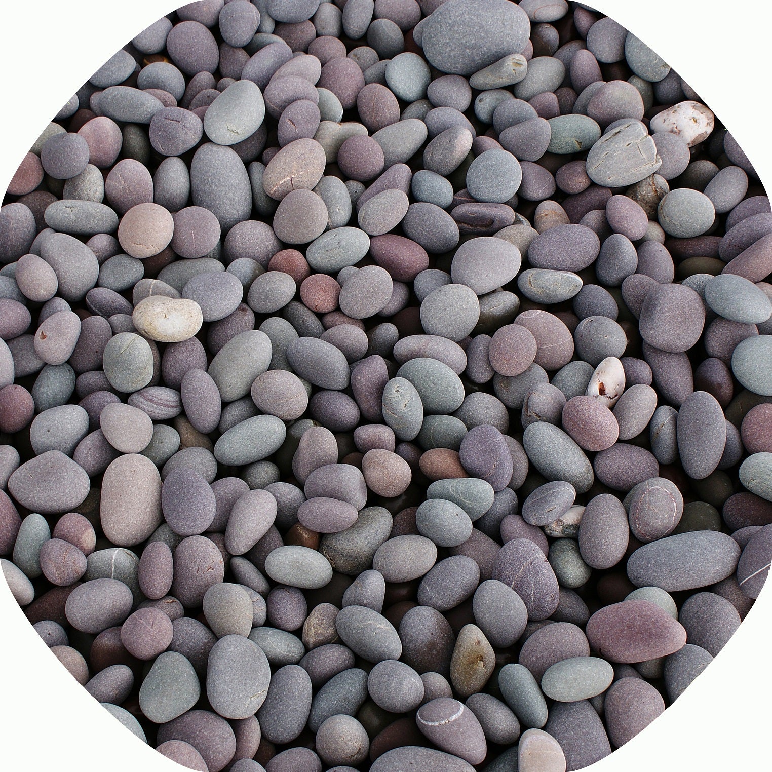 Tuff Inserts Pebbles Tuff Tray Mat Insert – Tiger Town
