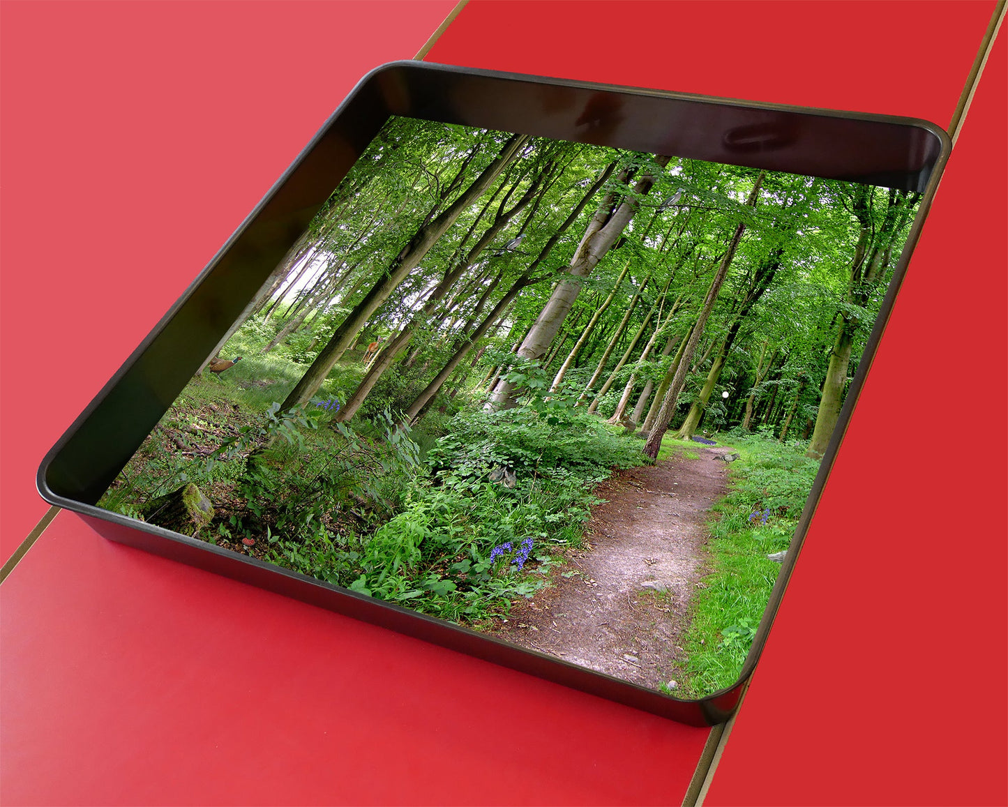 A Path Through the Forest Mat is ideal for use with our Tiger Play Tray. A great alternative to the tuff tray.