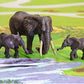 Safari mat with elephants