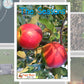 The Seasons Photo Pack Digital Download