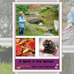 Walk in the Woods Photo Pack Digital Download