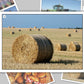 On the Wheat Farm Photo Pack