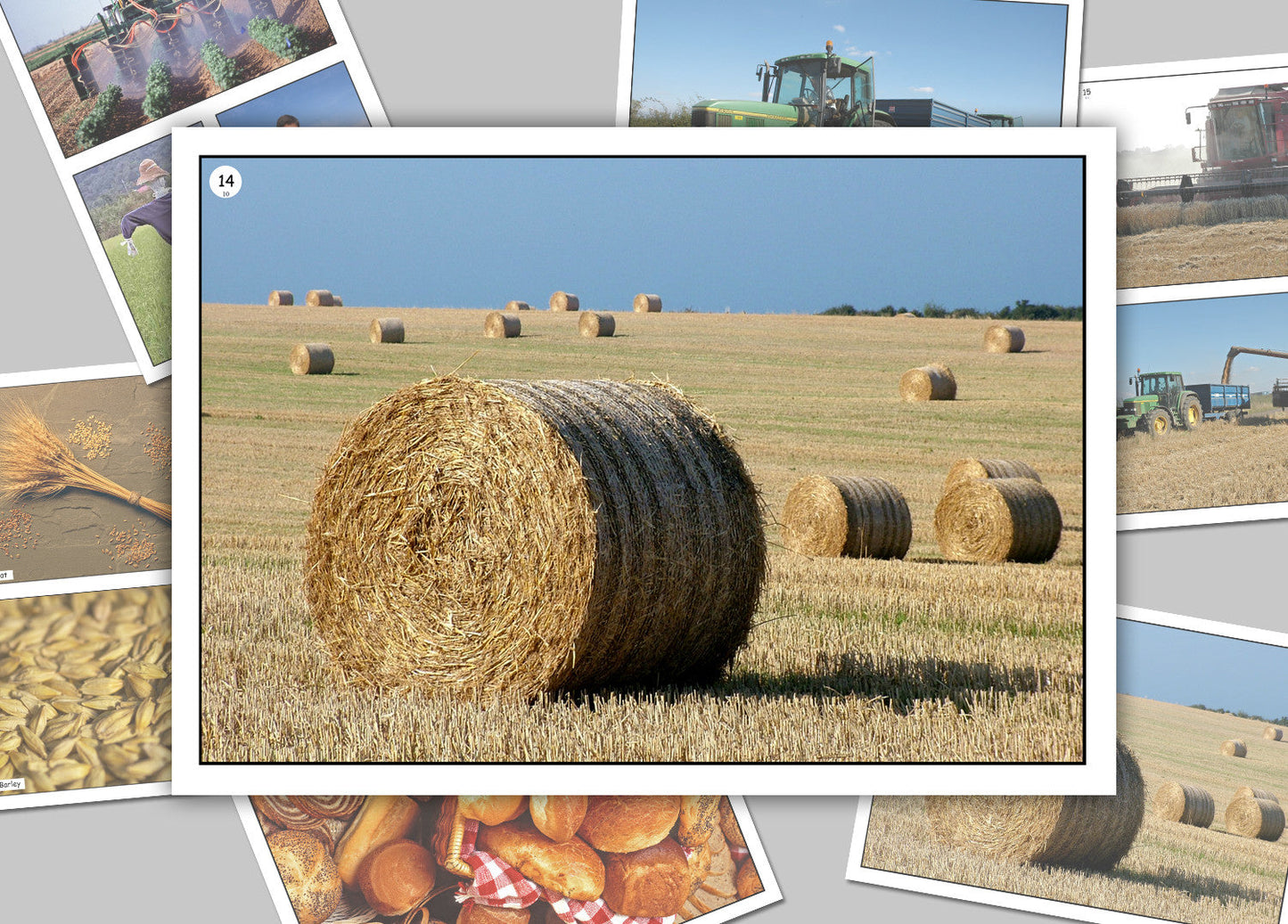 On the Wheat Farm Photo Pack